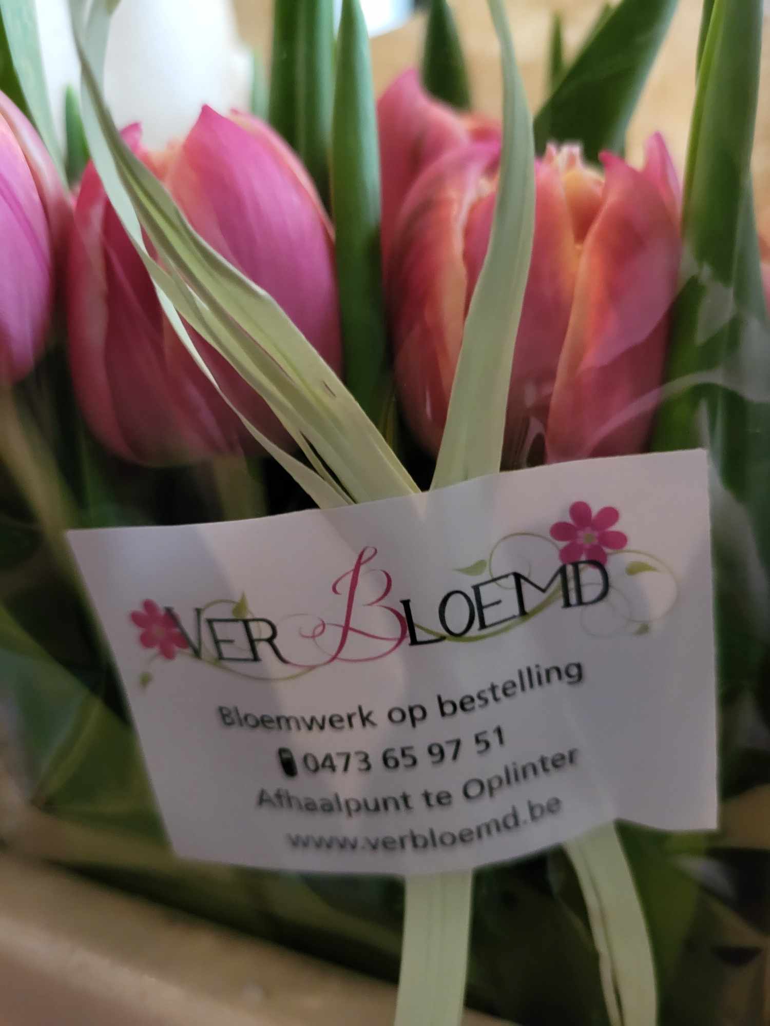 bosje tulpen (20 stuks), kleur afhankelijk van de voorraad