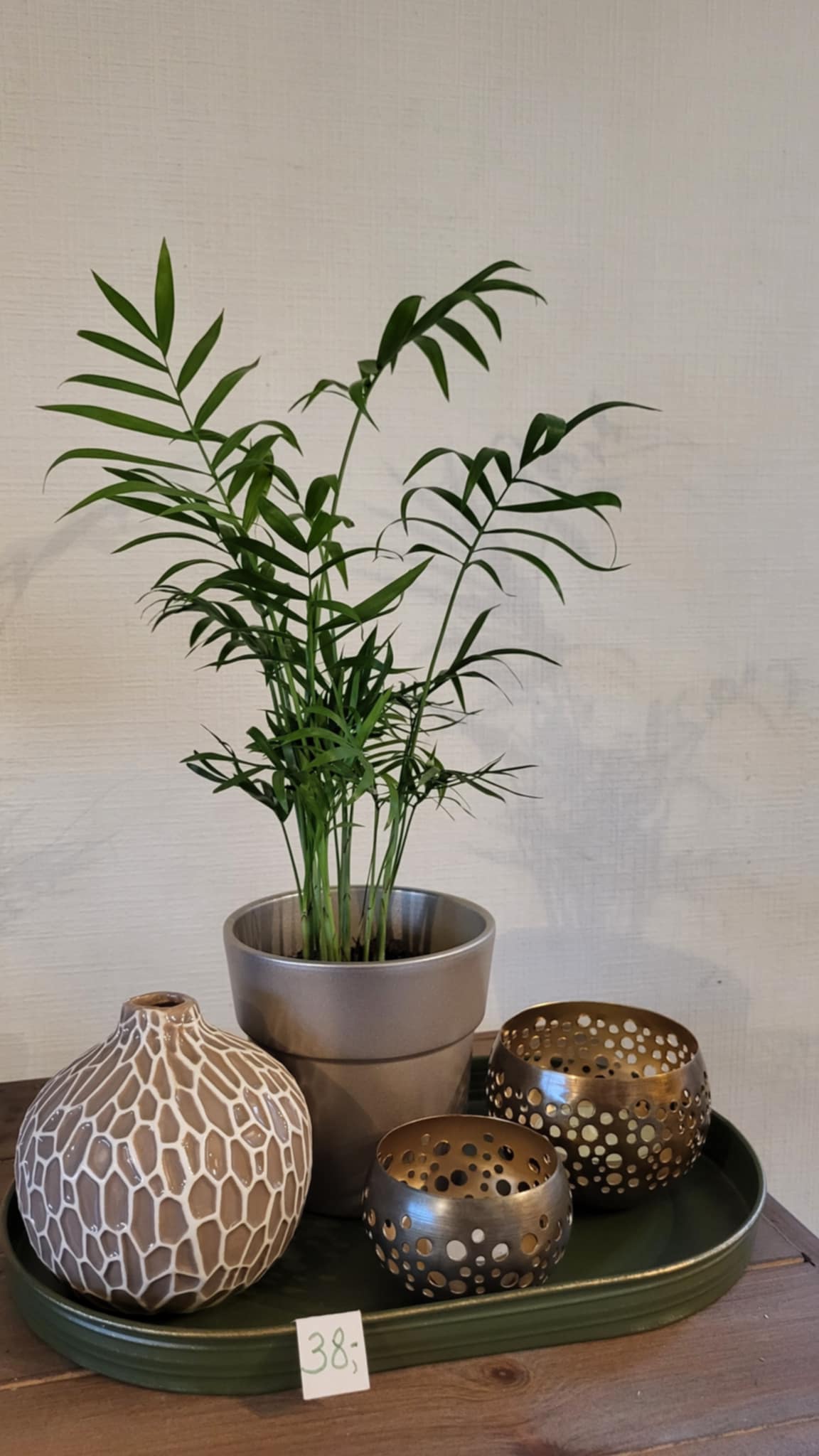 decoratie schotel groen en beige