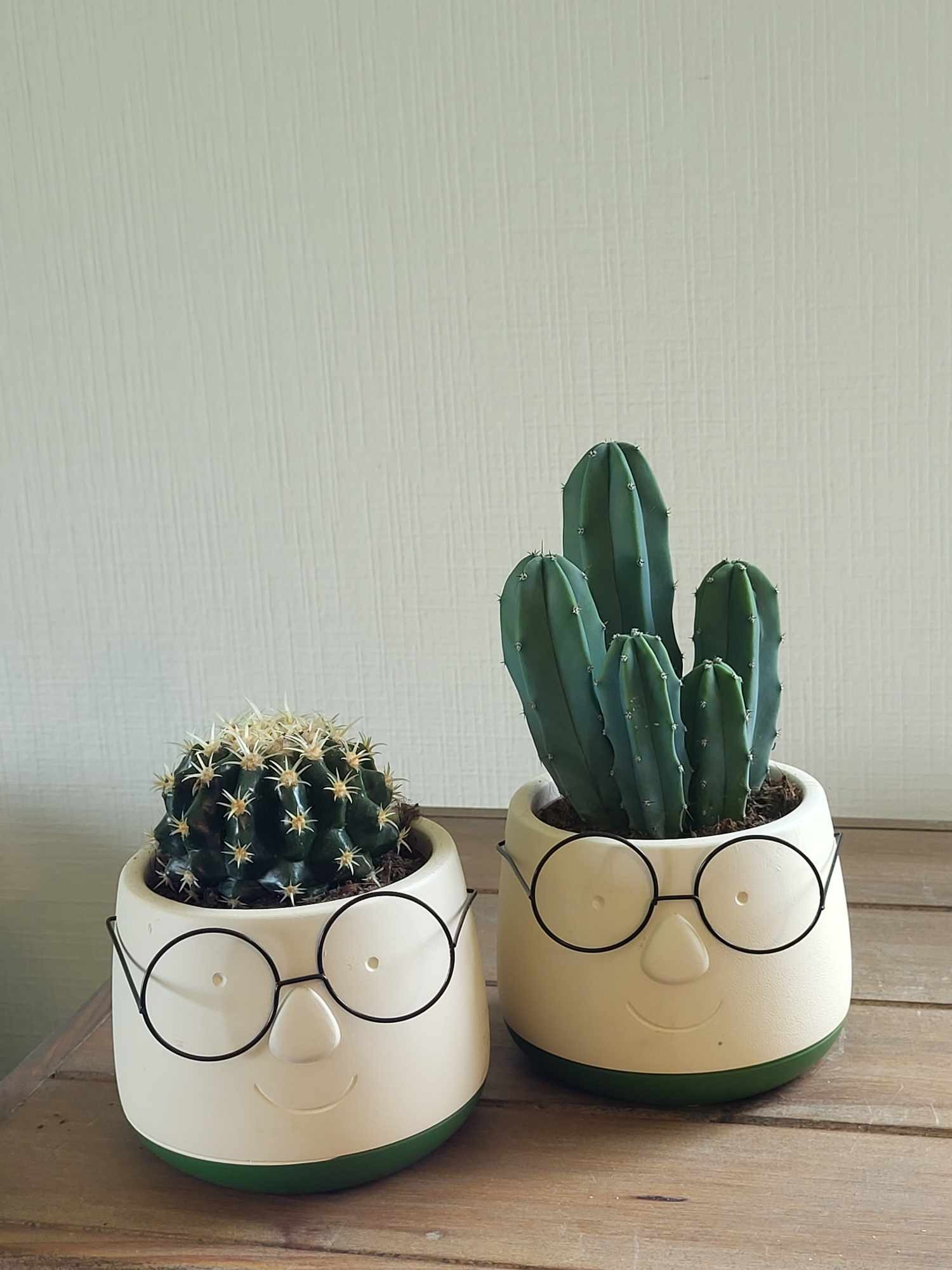 cactus duo