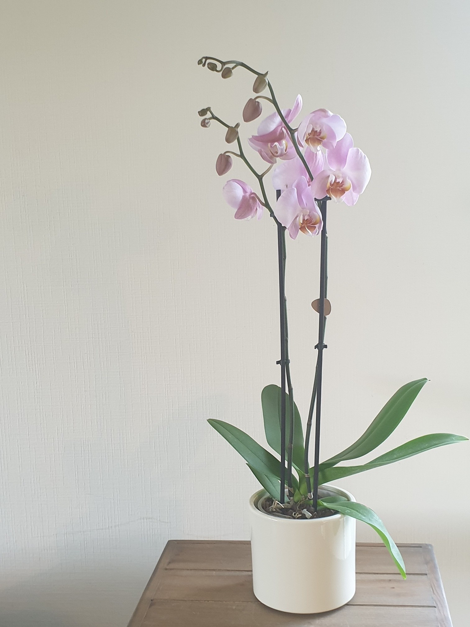 rond bloemstukje voor elke gelehgenheid in oranje tinten